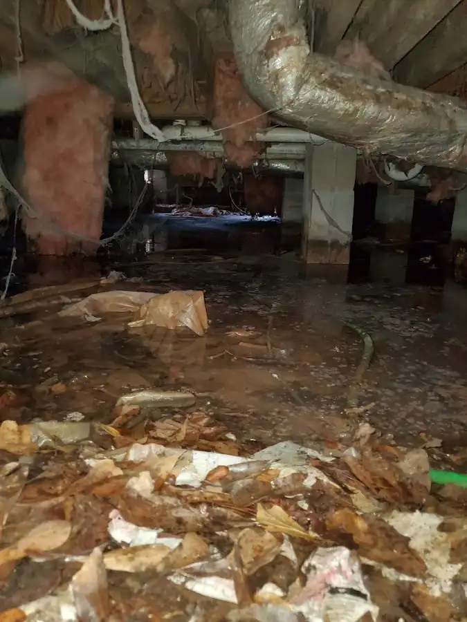 Crawl space flood assessment for Leak Detection & Repair in Woodfin