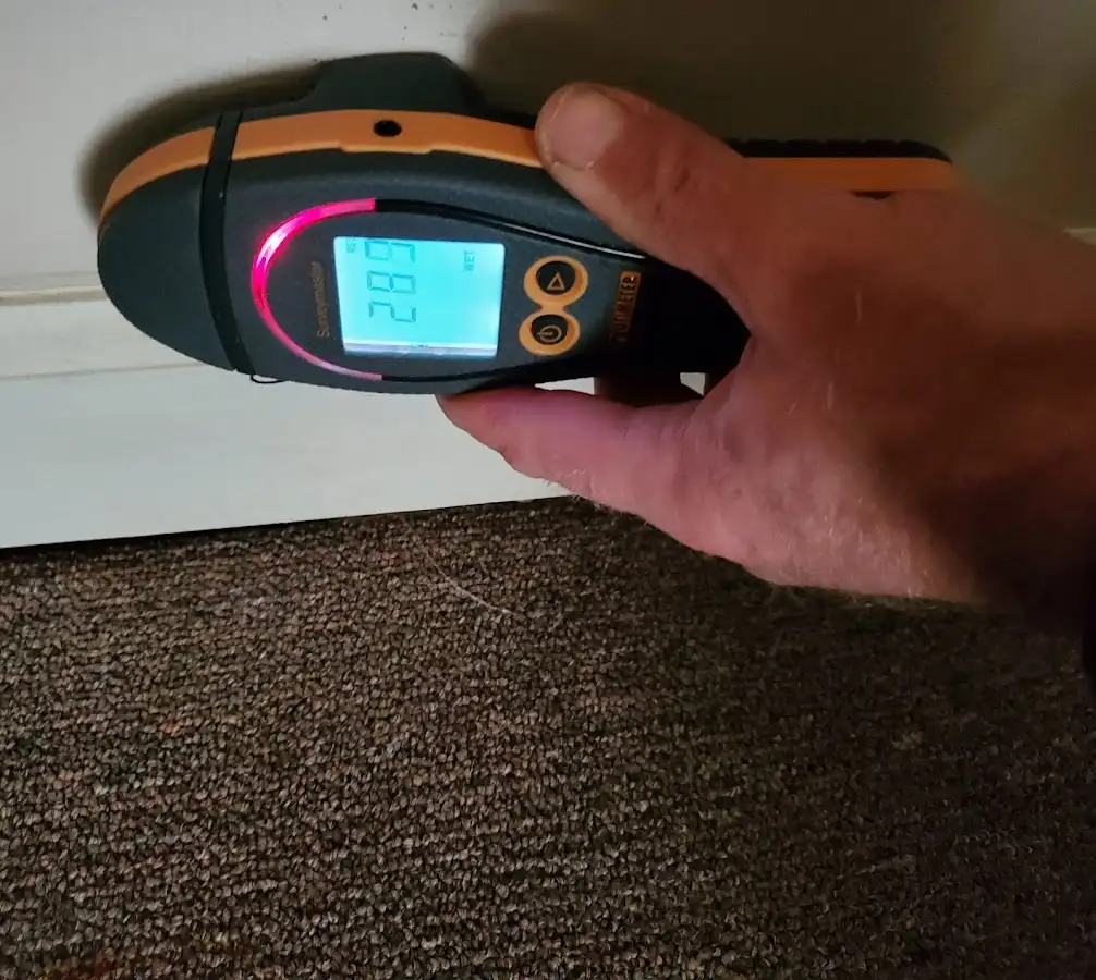 Moisture detection at baseboard during Sewage Cleanup & Sanitation in Woodfin